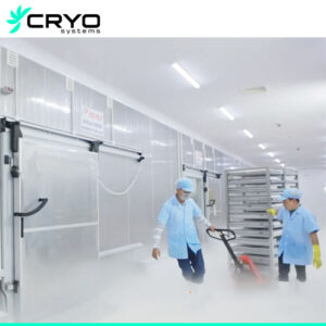 blast freezer room for quick freezer