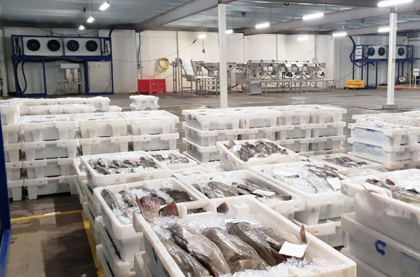 seafood cold room