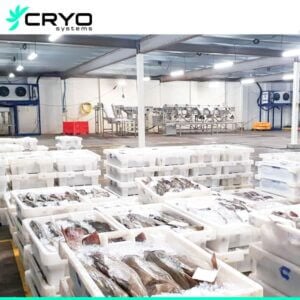 fish cold storage