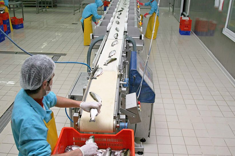 seafood processing room