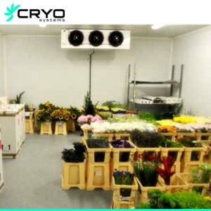 cámara frigorífica de almacenamiento de flor