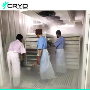 containerized blast freezer