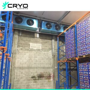 ripening cold room
