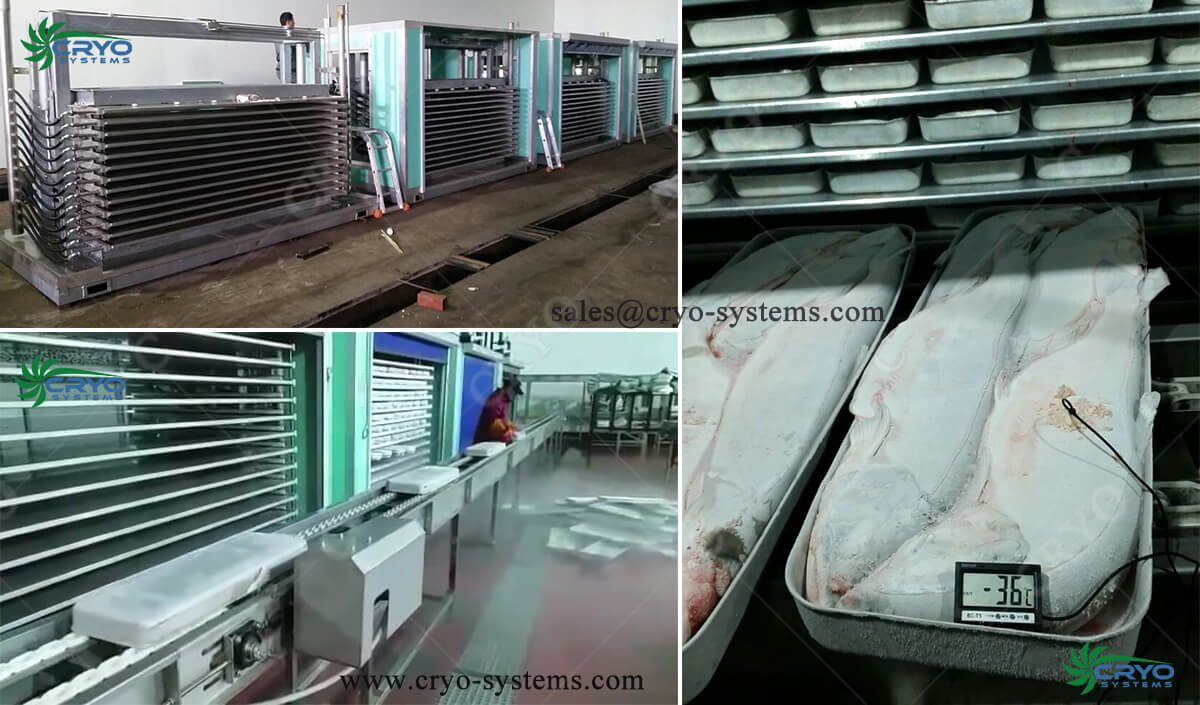 contact plate freezer projects 2