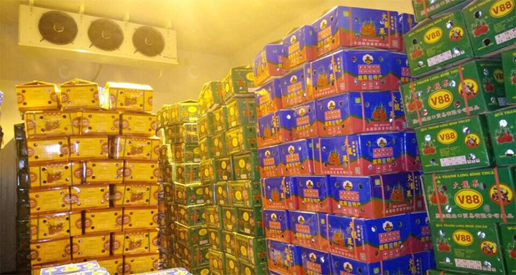 vegetable cold room warehouse