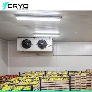 cold room for fruits