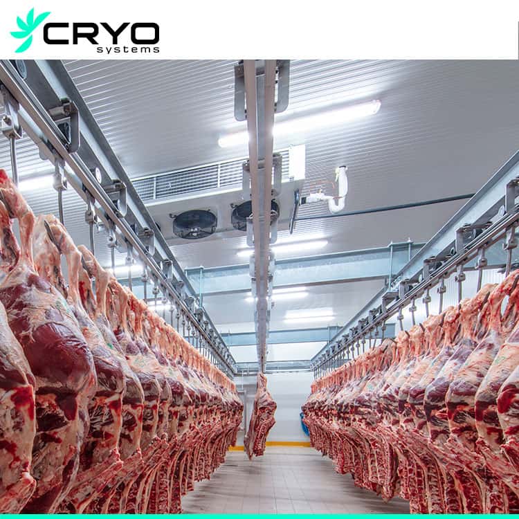 Cold Storage of Meat  Industrial Cold Room & Equipments