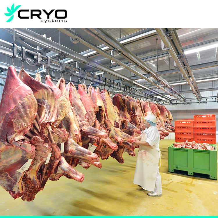 10 cold room for meat cold room for meat