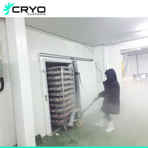 blast freezer room