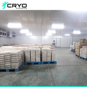 onion cold storage