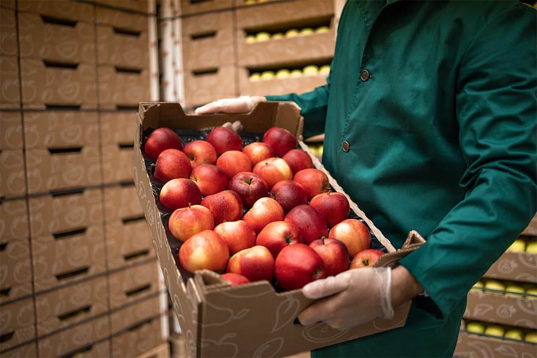 fruit-cold-room