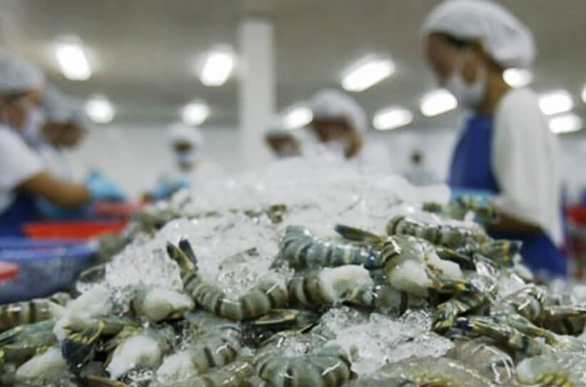 seafood-freezer-room-for-shrimp