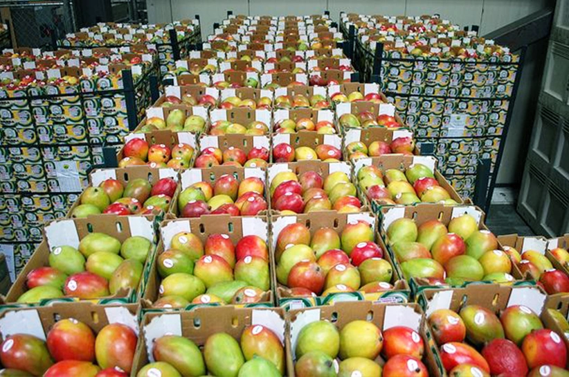 mango Storage