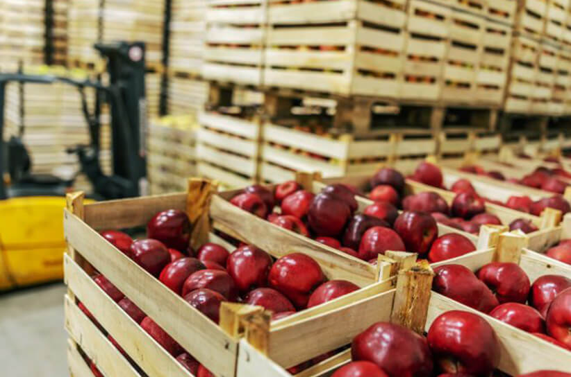 onion storage