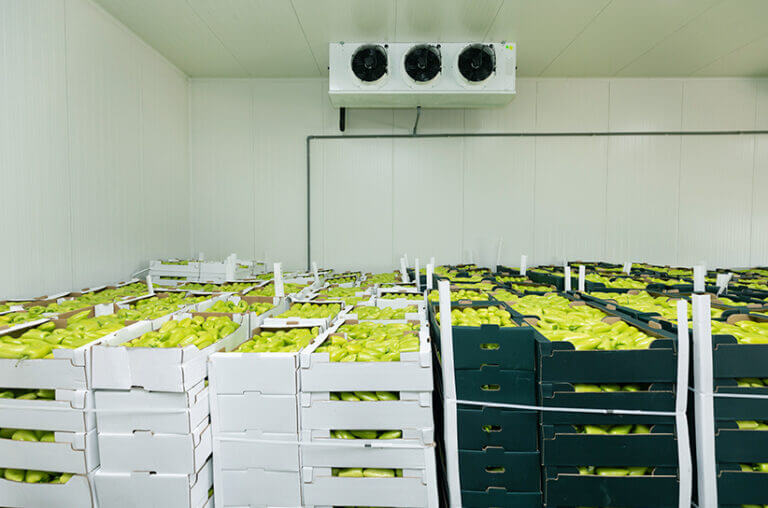 vegetable and fruit cold storage