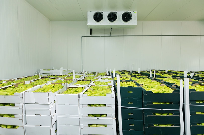 vegetable and fruit cold storage