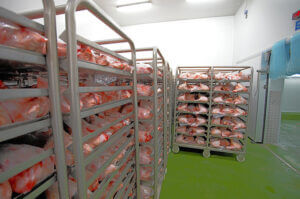 Meat Cold Room