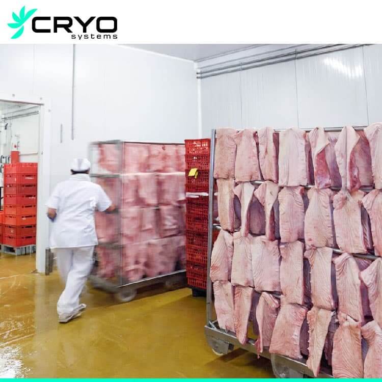 Meat Freezer/ Pork Freezer/ Blast Freezer/ Chiller - China Huge Cold Room,  Cold Storage
