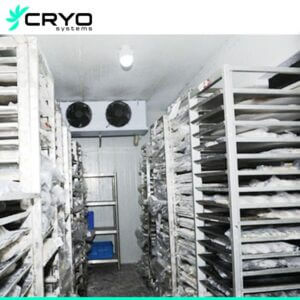 Fish-freezer-Room