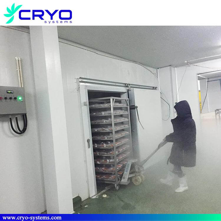 blast-freezer-room