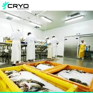 fish-cold-room