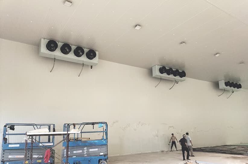 cold room construction