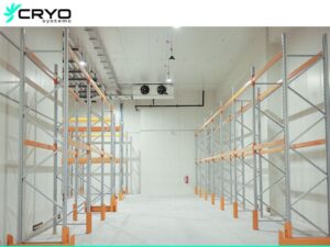 cold room in Singapore with rack systems