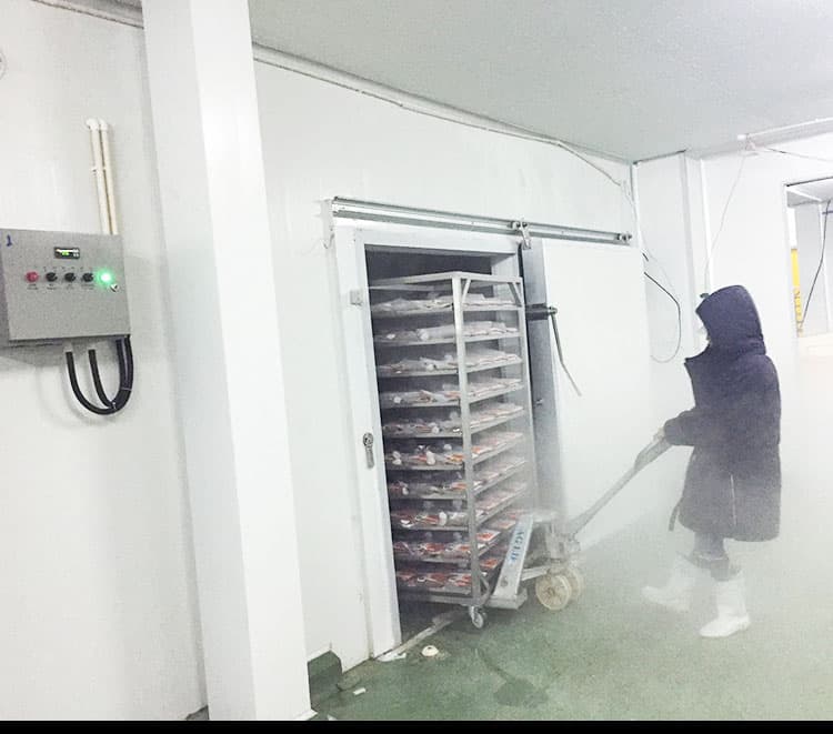 blast-freezer-for-sale