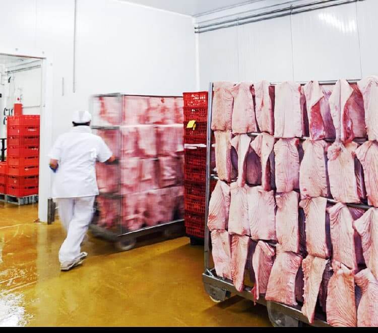 cold-storage-for-meat