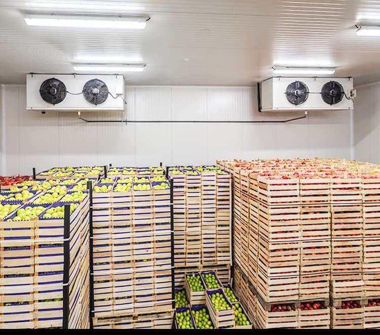 fruit-cold-room