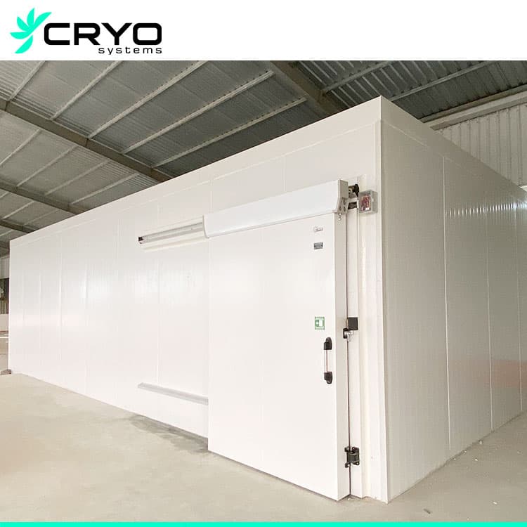 blast-freezer-room-feature-image