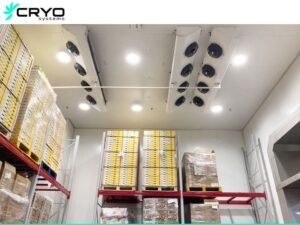 supermarket-Cold-room