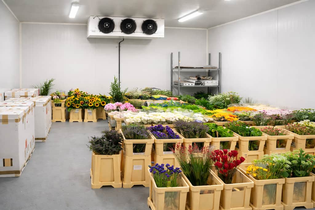Florist Cold Storage
