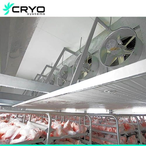 Chicken Blast freezer-