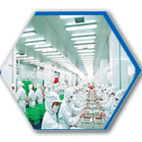 Food-Processing.png