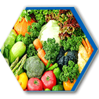 Vegetable-Preservation.png