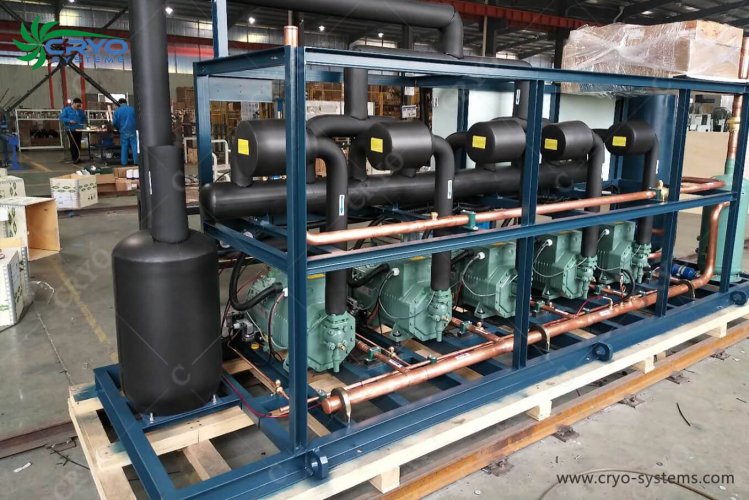 Bitzer two stages compressors 4