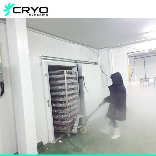 blast freezer room