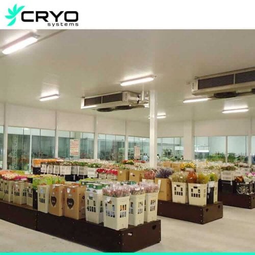 cold room for flower storage