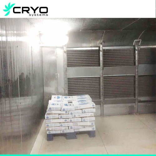 blast freezer 3