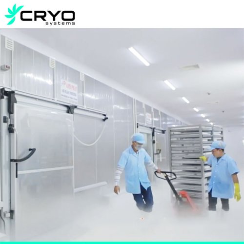 Cold room for fresh fish
