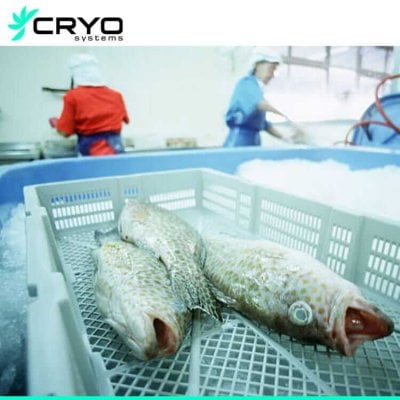processing room for fish seafood prooducts