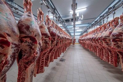meat-processing-room-mobile